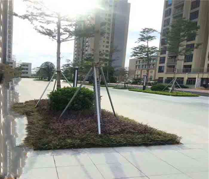 松崗村委統建樓：匯豐花園