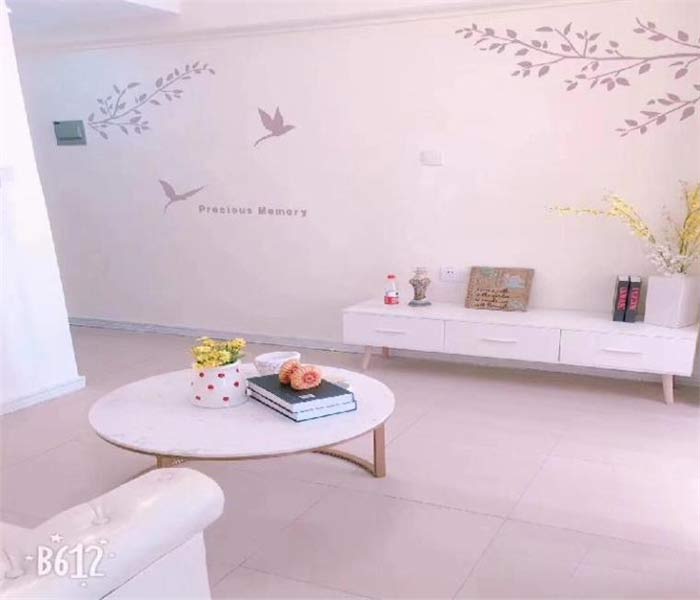 深圳民治小產權房房價：理想名苑