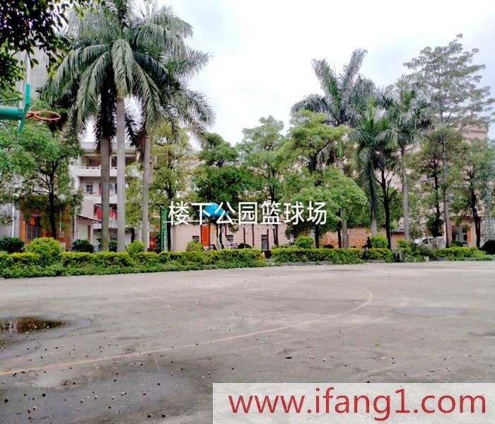 企石小產權房出售價格:東部華僑