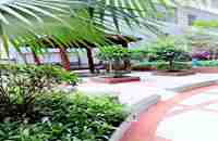 「布吉村委統建樓價格出售」-南灣花園